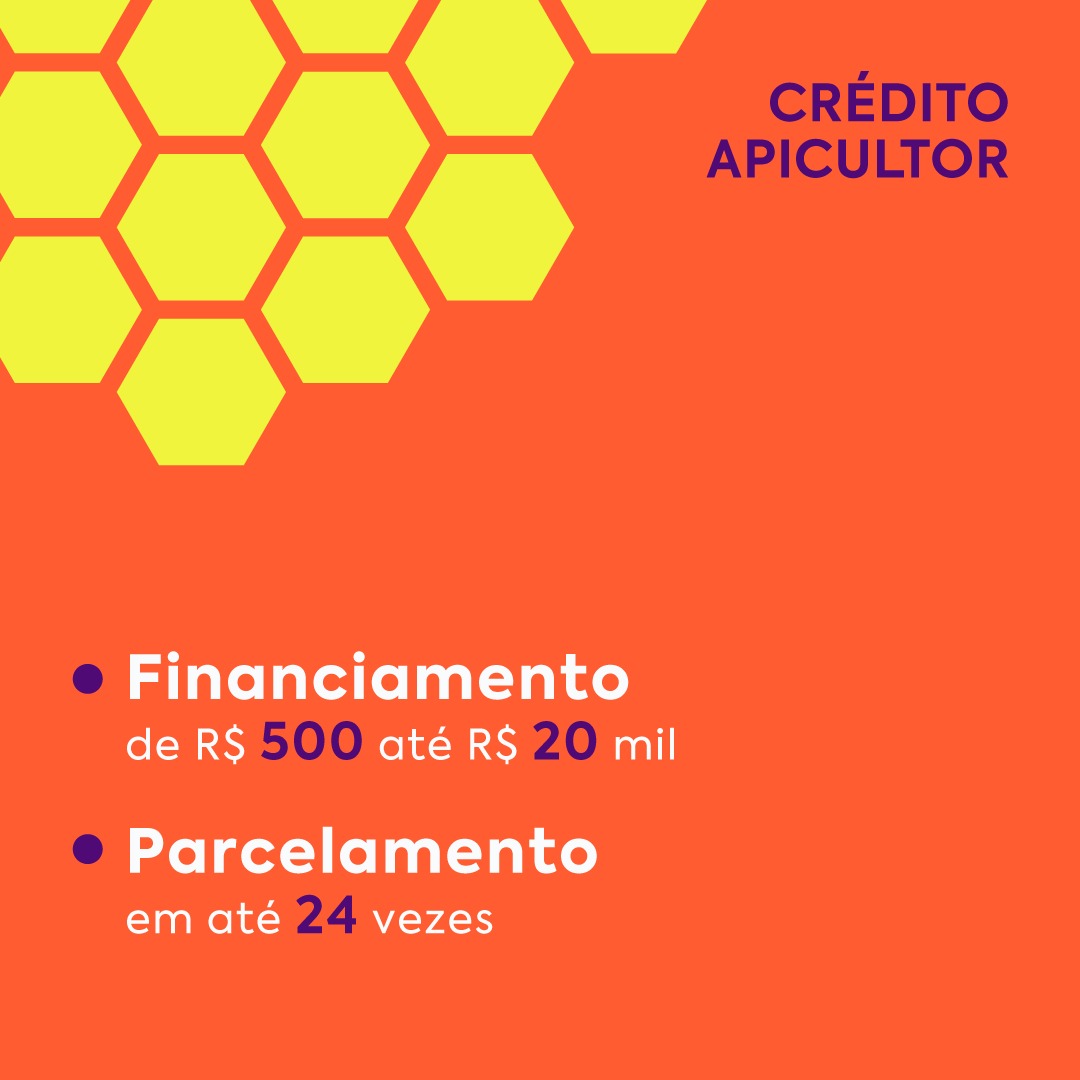 Crédito Apicultor