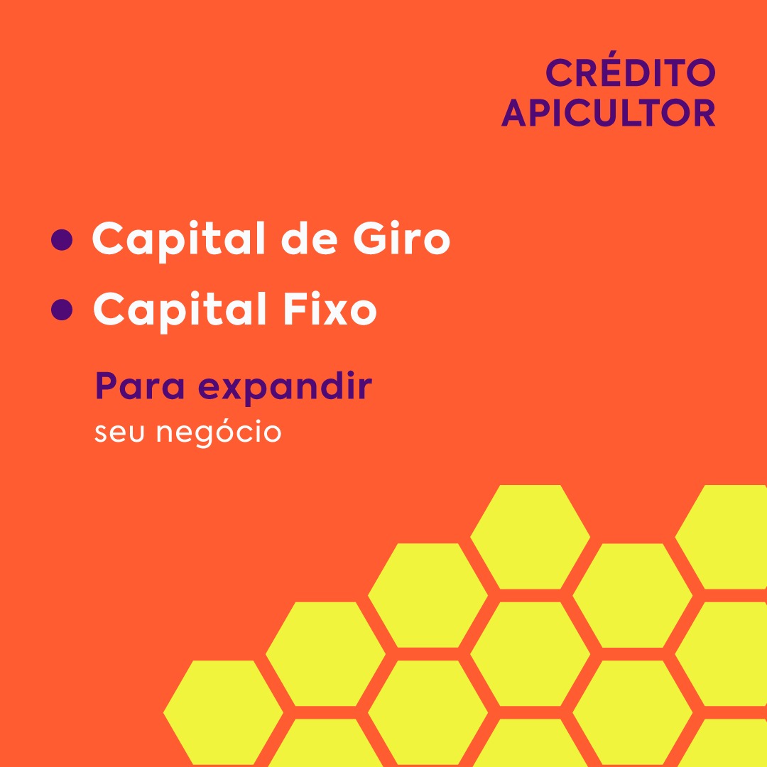 Crédito Apicultor