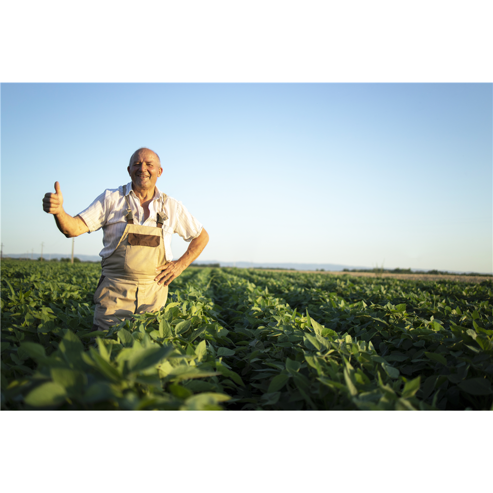 Em tempo de estiagem, Crédito Rural é alternativa segura e rápida para produtor rural